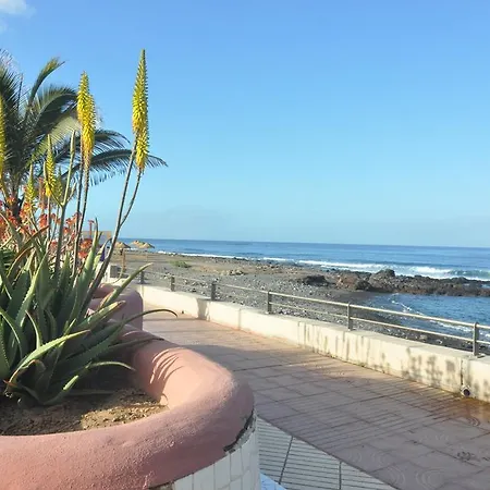 Palm Mar - Studio Mocan 2 Ad Y 3 Nin *